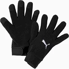 Рукавички Puma teamLIGA 21 Winter gloves чорний