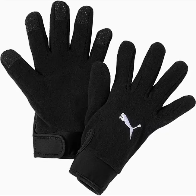 Перчатки Puma teamLIGA 21 Winter gloves черный