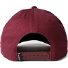 Кепка Nike JORDAN CLC99 FLT ESS CAP