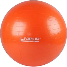 Фітбол GYM BALL 55см