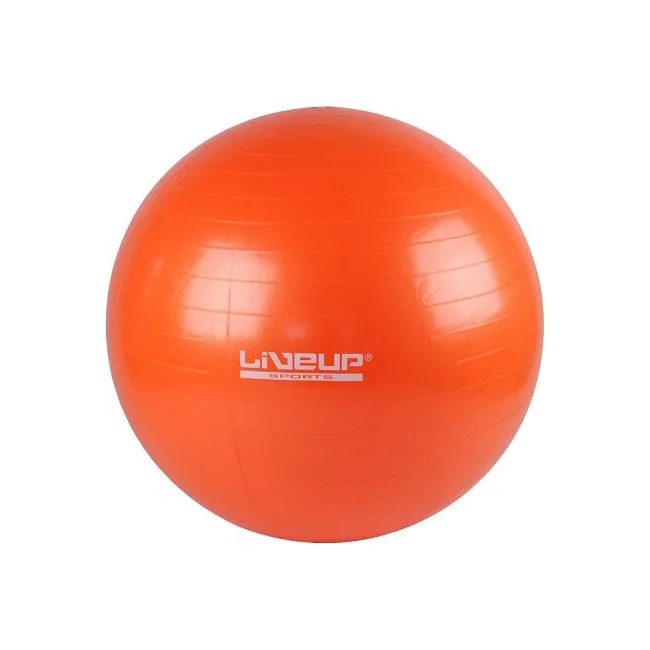Фітбол GYM BALL 55см