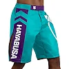 Шорти для MMA HAYABUSA Icon MMA Teal White