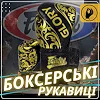 Боксерские перчатки Fairtex BGVG2 Velcro Black (бинты в комплекте)
