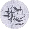 Жетон-наклейка на медаль
 на медаль або кубок ø25мм SP-SPORT
 Спортивна гімнастика 25-0075 (Золотий)