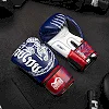 Боксерские перчатки Phantom Muay Thai Blue (капа в подарок)