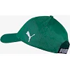 Кепка PUMA LIGA CAP зелений OSFA