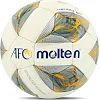 Футзальный мяч MOLTEN F9A2000-A №4