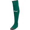 Гетры футбольные Puma Team LIGA Socks CORE зеленый