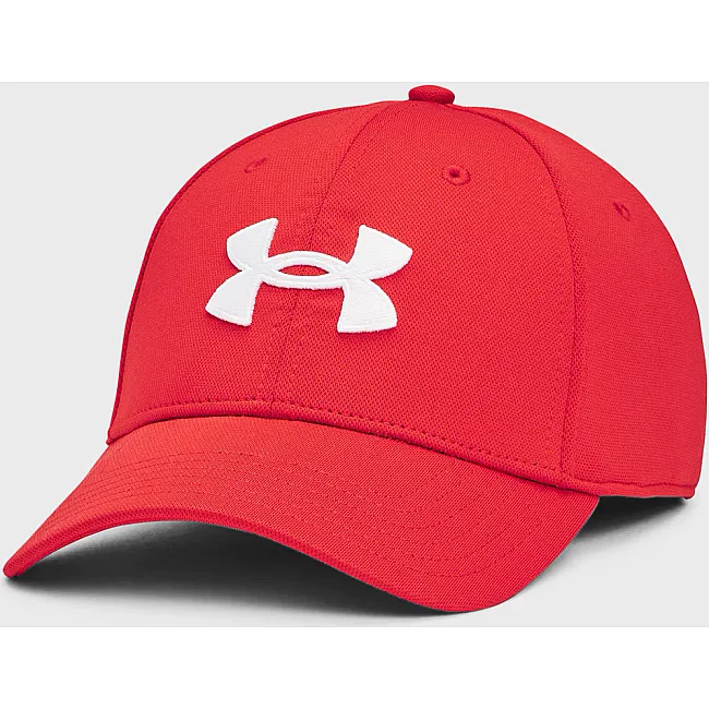 Кепка UNDER ARMOUR Men&s Blitzing мужская
