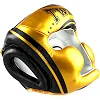 Боксерский шлем Twins Fancy FHGL3-TW4 Black Gold