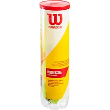 Теннисный мяч WILSON CHAMPIONSHIP WRT110000 4шт