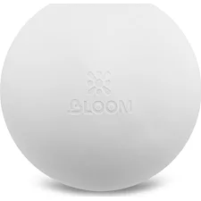 Мяч для пилатеса BLOOM PREMIUM LB7003-20 20см (Белый)