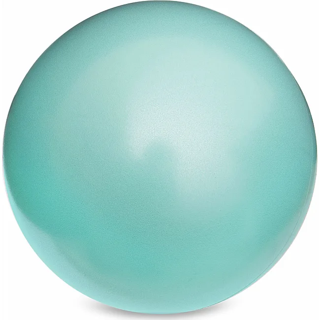 М'яч для пілатес

 Mini Pastel ZELART
 FI-5220-20 20см