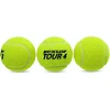 Мячи для большого тенниса DUNLOP TOUR BRILLIANCE DL601326 3шт
