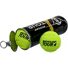 Мячи для большого тенниса DUNLOP TOUR BRILLIANCE DL601326 3шт