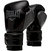 Боксерские перчатки Everlast POWERLOCK 2R TRAINING GLOVE черный 14 унций