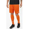 Спортивні шорти manchester 2.0 c104 JAKO 4400-19
