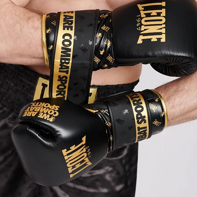 Перчатки для бокса LEONE DNA Black