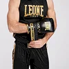 Перчатки для бокса LEONE DNA Black