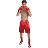 Трусы боксерские EVERLAST ULI-9013