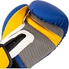 Рукавички для боксу PU HARD TOUCH BO-5242 10-12унцій (Блакитний)