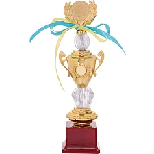 Кубок спортивный с ручками и крышкой SP-SPORT HIT C-K978C 29,5см