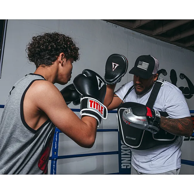 Лапы боксерские TITLE Boxing Aerovent Anarchy Punch Mitts Black/Silver