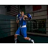 Боксерский сет TITLE Boxing Aerovent Elite Amateur Boxing Set 1 v. 2.0 Red Blue