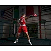 Боксерский сет TITLE Boxing Aerovent Elite Amateur Boxing Set 1 v. 2.0 Red Blue