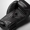Перчатки для бокса HAYABUSA T3 Kanpeki Jet Black