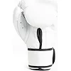 Боксерские перчатки Everlast CORE 2 TRAINING GLOVE белый S/M