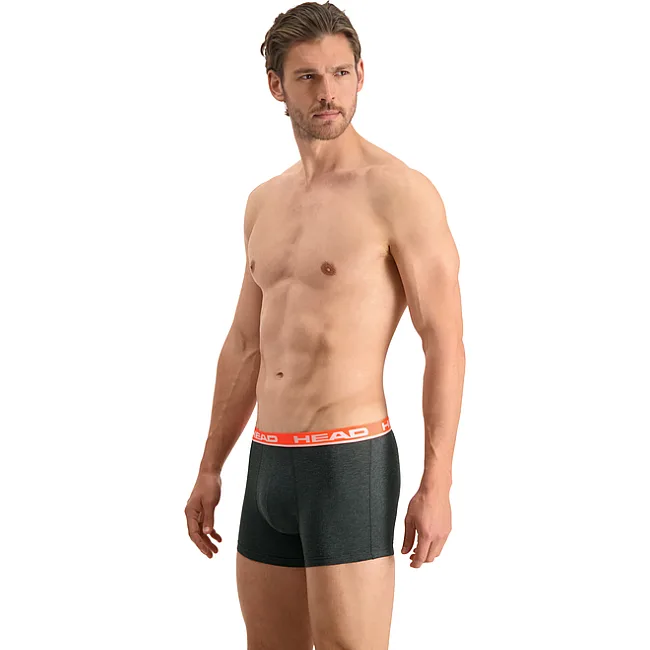 Трусы-боксеры Head BASIC BOXER 2P мужские