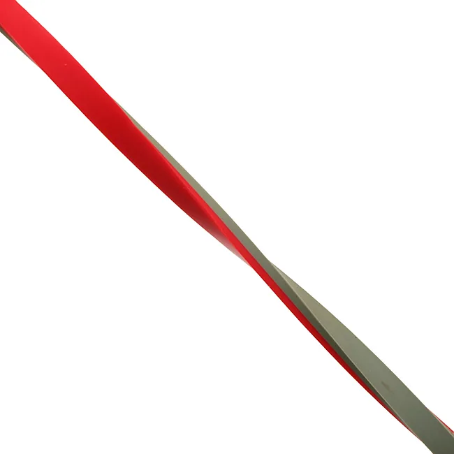 Резина петля для подтягиваний ZELART
 POWER LOOP FI-5439-1 58г (Красный)