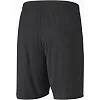 Спортивные шорты мужские Puma teamGOAL 23 knit Shorts черный
