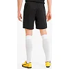 Спортивные шорты мужские Puma teamGOAL 23 knit Shorts черный