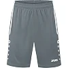 Спортивные шорты Allround JAKO 4499-840