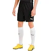 Спортивные шорты мужские Puma teamGOAL 23 knit Shorts черный
