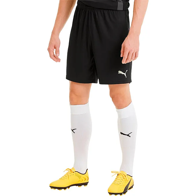 Спортивные шорты мужские Puma teamGOAL 23 knit Shorts черный