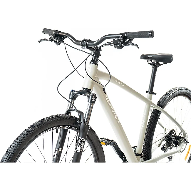 Горный велосипед SPIRIT Echo 9.3 29", рама XL, серый, 2021