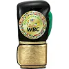 Рукавиці для боксу TITLE WBC Green Belt 1.0 Black Green