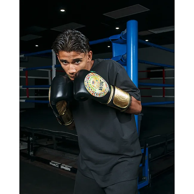 Рукавиці для боксу TITLE WBC Green Belt 1.0 Black Green