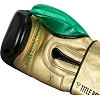 Рукавиці для боксу TITLE WBC Green Belt 1.0 Black Green