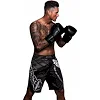 Шорти для ММА Hayabusa Chikara 3.0 Black