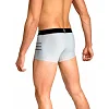 Спортивные трусы мужские Peresvit Performance Trunks Silver