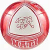 Футбольный мяч Puma SFV Culture Ball красный, белый 5