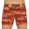 Труси-боксери PUMA ACTIVE BOXER PRINT 2P чоловічі
