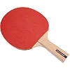 Набор для настольного тенниса DUNLOP D TT AC RAGE MATCH MT-679211