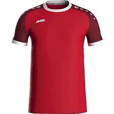 Джерсі Iconic (сорочка/сорочка) JAKO 4224-113