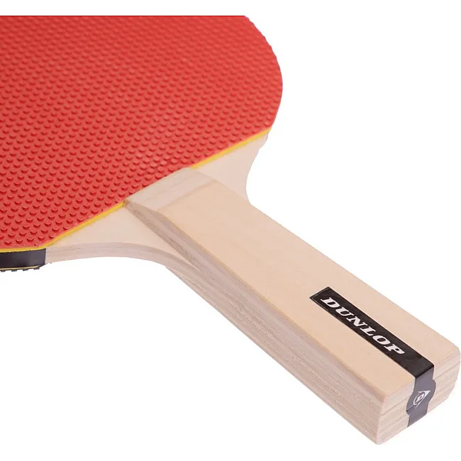 Набор для настольного тенниса DUNLOP D TT AC RAGE MATCH MT-679211