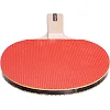 Набор для настольного тенниса DUNLOP D TT AC RAGE MATCH MT-679211